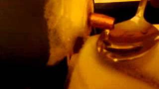 Moonshine Madness Pumpin Hard