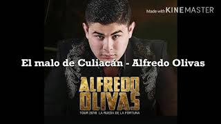 El malo de Culiacán - Alfredo Olivas (Lyrics)