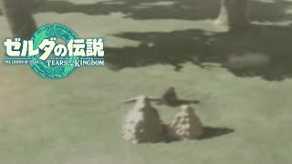 初めて知る過去　瞳に映る真実とは【＃１７】【ゼルダの伝説 ティアーズ オブ ザ キングダム】