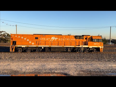 Pacific National The Great Southern NR31 light engine long end Tottenham