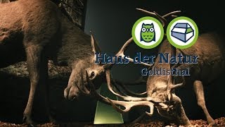preview picture of video 'Haus der Natur - Goldisthal'