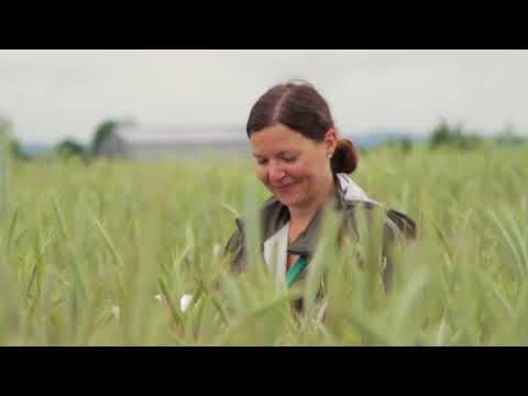 Saaten-Union: Ein typischer Tag auf der Versuchsstation Bayern