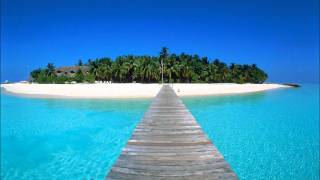 CYNTHIA SCHLOSS  - As if i didn't know