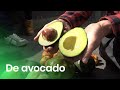 Hoe groeit een avocado?