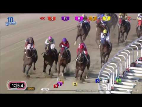 New Citadel - Seoul Racecourse, April 23 2017 (English)