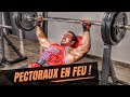 UNE SEANCE PECTORAUX ET BICEPS EXTREMEMENT DOULOUREUSE !