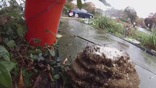 Washing Out Yellowjackets.