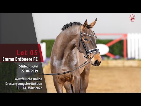 Dressuryoungster Online-Auktion Lot 5 Emma Erdbeere FE Stute v. Escolar - Hotline