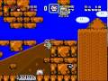 Super Mario World Custom Level Guarded Pass