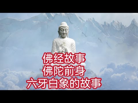 六牙白象