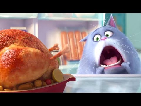 SmìLe Cassie Ranked Ft. Potaytow | Paladins