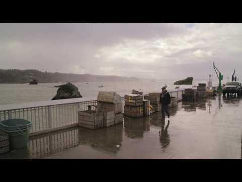 download lagu mp3 mp4 Wild Planet Seafood, download lagu Wild Planet Seafood gratis, unduh video klip Wild Planet Seafood