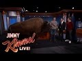 Wild Animals with Dave Salmoni & Andy Samberg