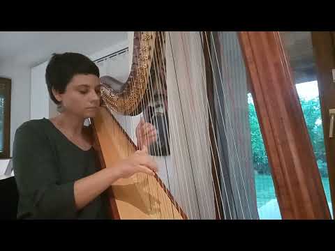 Comptine d'un autre ete (Amelie Poulain)-Yann Tiersen 10.07.2021