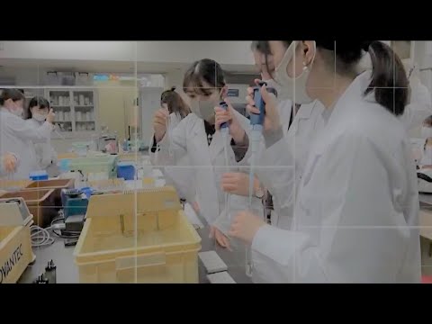管理栄養士をめざす授業｜基礎栄養学実験｜千里金蘭大学食物栄養学科