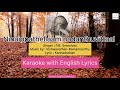 Ninaipathellam Nadanthuvittal | karaoke with English lyrics