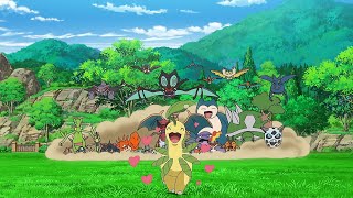 Ash meeting All His Pokemon | Pokemon Journeys Episode 114 In Hindi Full Episode