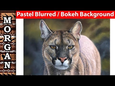 Pastel Blurred / Bokeh Background technique Jason Morgan wildlife Art