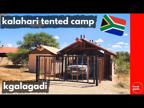 Camp Review: Kalahari Tented Camp - Kgalagadi Transfrontier Park (Travel in South Africa)[Glamping]
