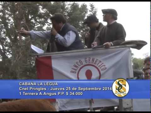 La Legua - Venta Hembras - Coronel Pringles - 25/09/2014