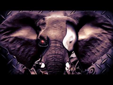 Chris Lawyer - Elephant (Máté Marci bootleg)