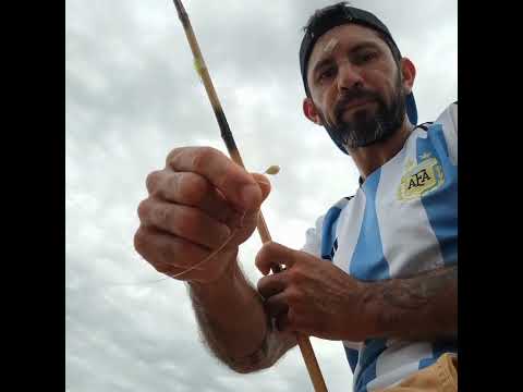 Un rato del pesca por el puerto de villa constitución - santa fe - Argentina 