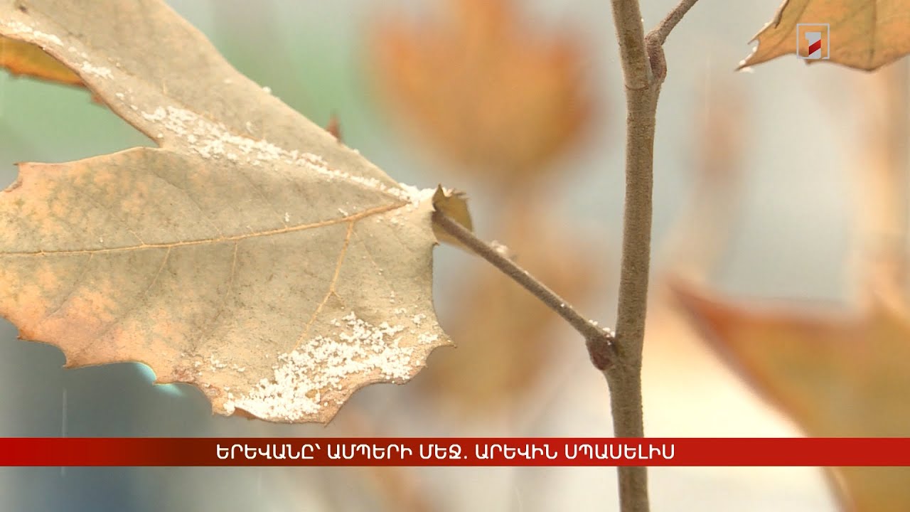 Երևանը՝ ամպերի մեջ. արևին սպասելիս