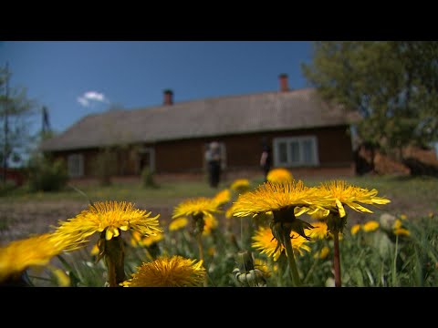 4.studija veic izmeklēšanu: vai tiesu izpildītājs piedzen parādu no īstā cilvēka?