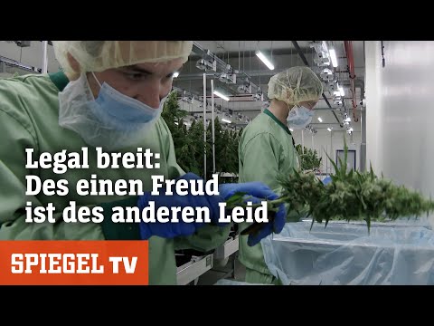 Kontroverse Cannabis – Karl Lauterbachs neuer Kiffer-Coup spaltet Deutschland | SPIEGEL TV