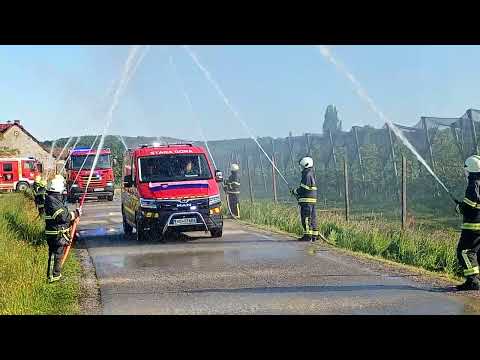 Politika in gospodarstvo
