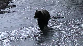 strangely at home here