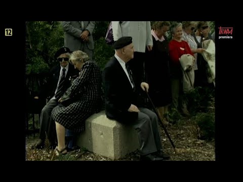 Jak my to widzimy - z daleka widać lepiej (01.02.2026)