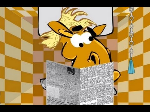 KOŃ RAFAŁ - DOBRA WRÓŻKA, HASAŁ PO POLU, TRYBUNA LUDU