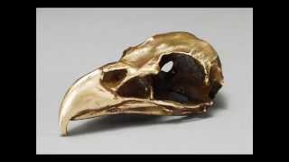 Çøπ⊥α¡π ¥♪ ßґα¡π - Fly Like An Eagle