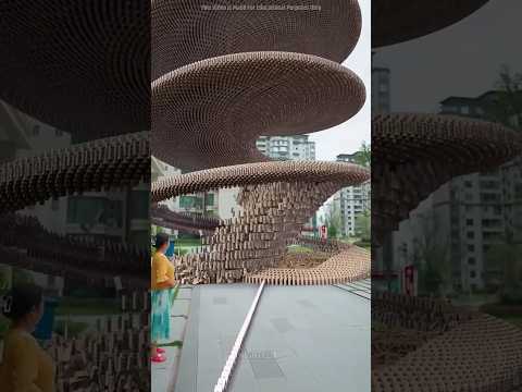 She Made the Biggest Domino Chain