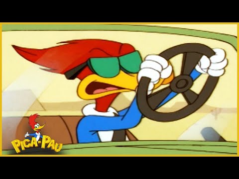 Pica-Pau em Português | Recompensa | Compilação De 1 Hora | Desenhos Animados