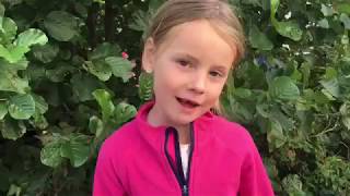 VLOGG| ASTRID LINDGRENS VÄRLD