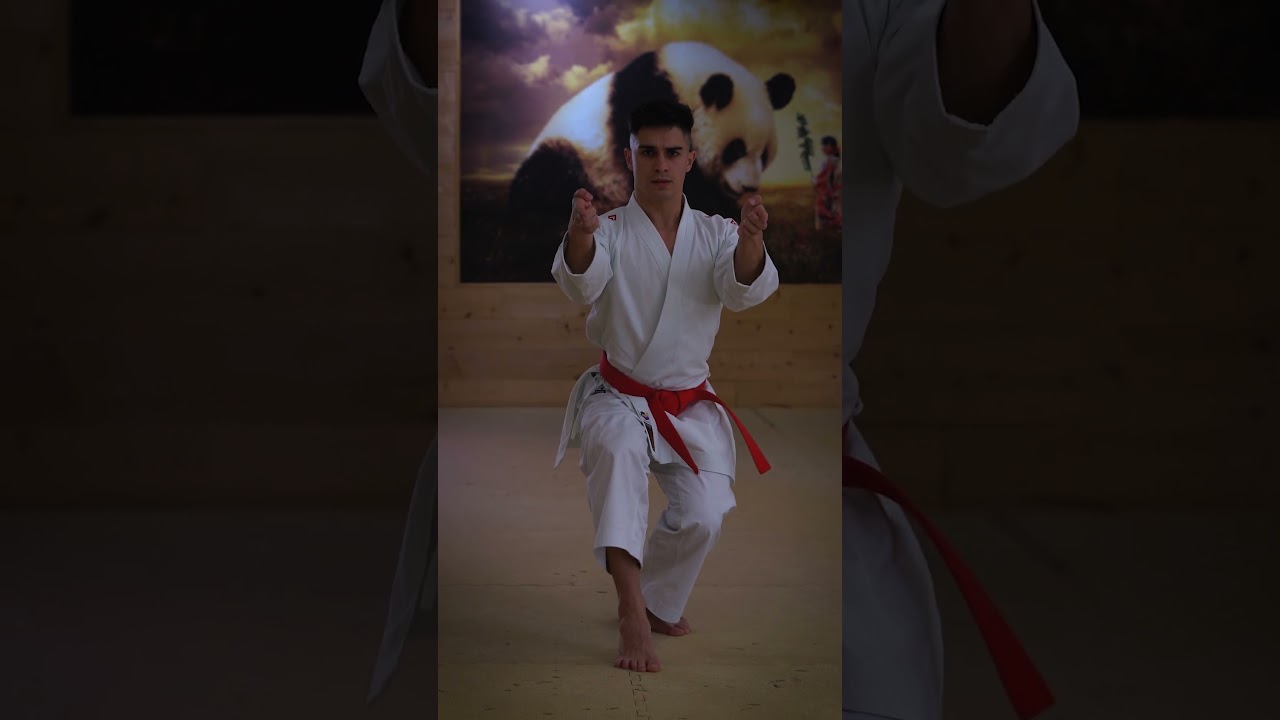 Cinematic Karate 🥋 Trailer 🔥