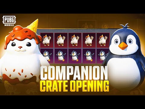 😱NEW HOLA BUDDY COMPANION CRATE OPENING 
