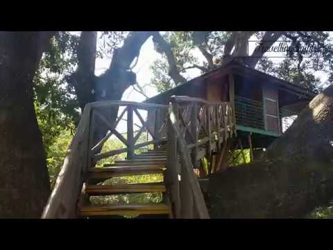 download lagu mp3 mp4 Dandeli Tree House Resort, download lagu Dandeli Tree House Resort gratis, unduh video klip Dandeli Tree House Resort