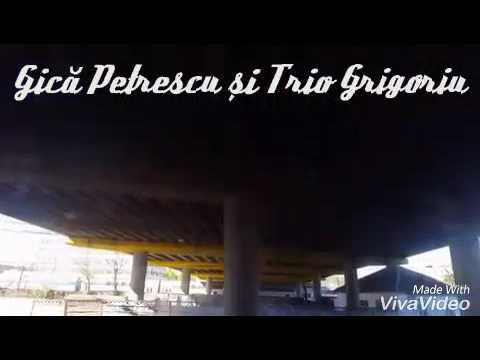 Gică Petrescu şi Trio Grigoriu - Podul Grant.