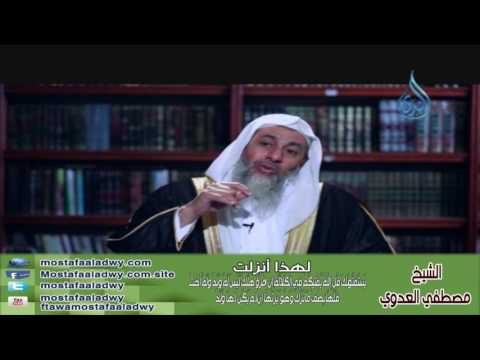  لهذا أنزلت 22 يَسْتَفْتُونَكَ قُلِ اللّهُ يُفْتِيكُمْ فِي الْكَلاَلَةِ | الشيخ مصطفي العدوي 