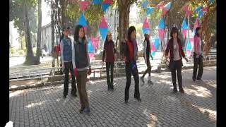 Temporary Love - Line dance ( Rob Holley & Randy Pelletier (January 2018)