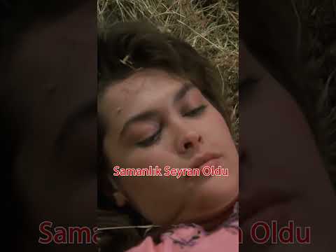 Samanlık Seyran Oldu! #film #sinema #yeşilçam #hülyaavşar #muratfilm #uzunbirgece #yerlifilm