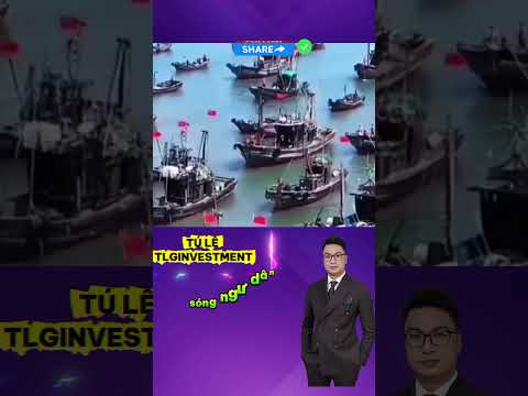 NÓNG: Tàu hải quân trung quốc bất ngờ áp sát bờ #tintuc #dautu #thoisu  #foryou  #news  #hoangsa