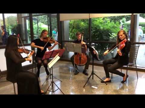 Promotional video thumbnail 4 for Arabesque Ensembles