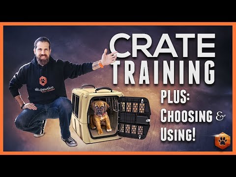 Crate Training Definitive Guide - Why and How to do it