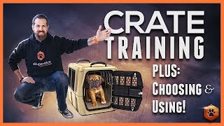 Video: Crate Training- How and Why...