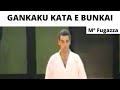 Kata Gankaku E Bunkai M Carlo Fugazza Attaccanti Sono Il M Dario Marchini E Il M Angelo Torre