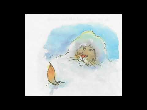 Snow Lion by David M. McPhail